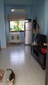 All rooms come complete with Sinbi cat who will run into your room the second you open your door